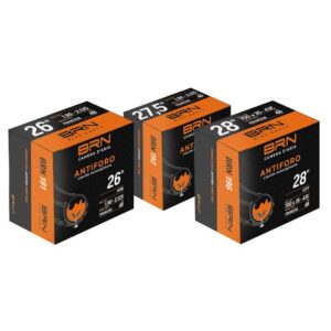 CAMARA BRN AUTO SELLANTE 29 MTB PRESTA