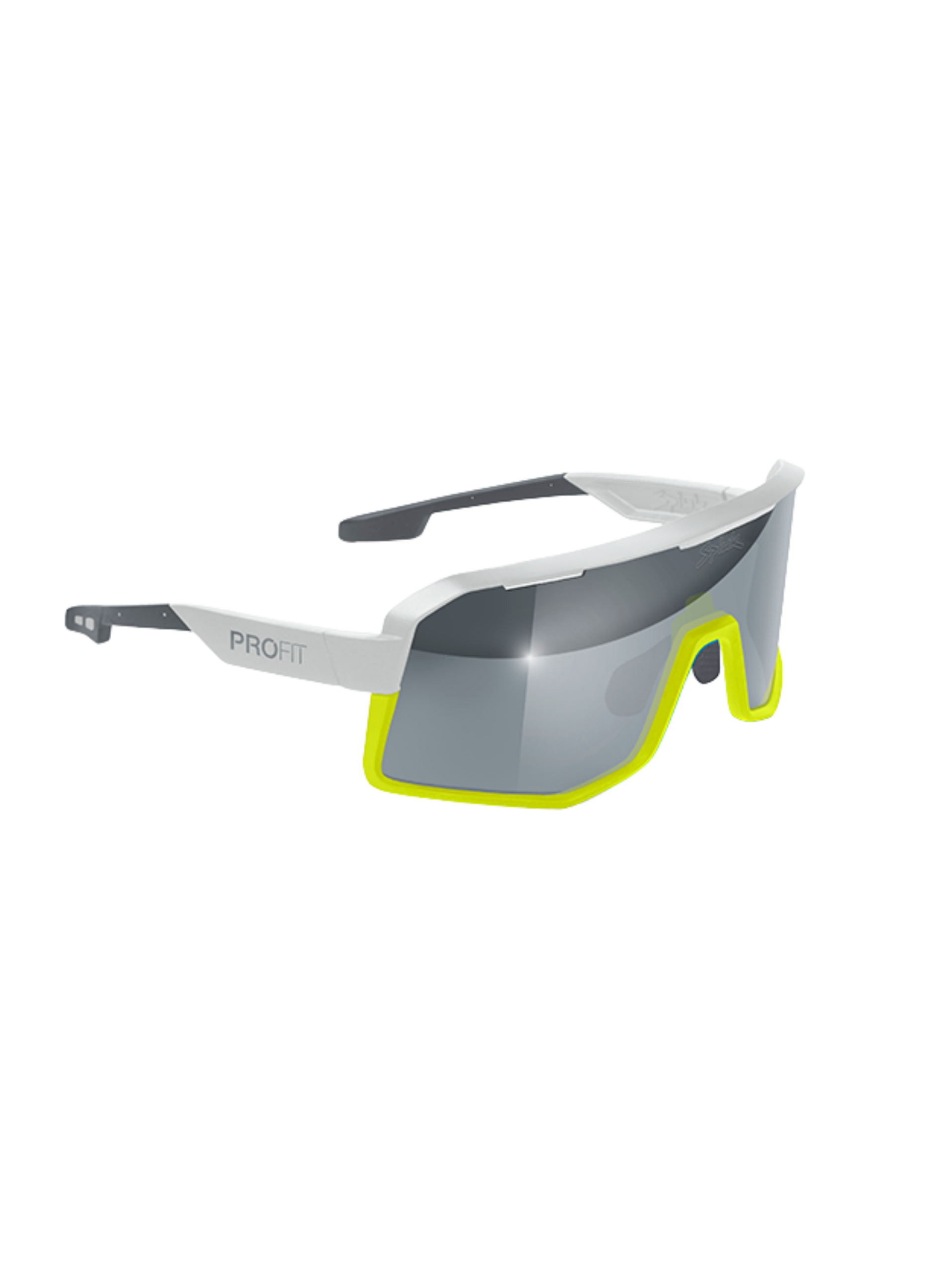 Gafas PROFIT V3