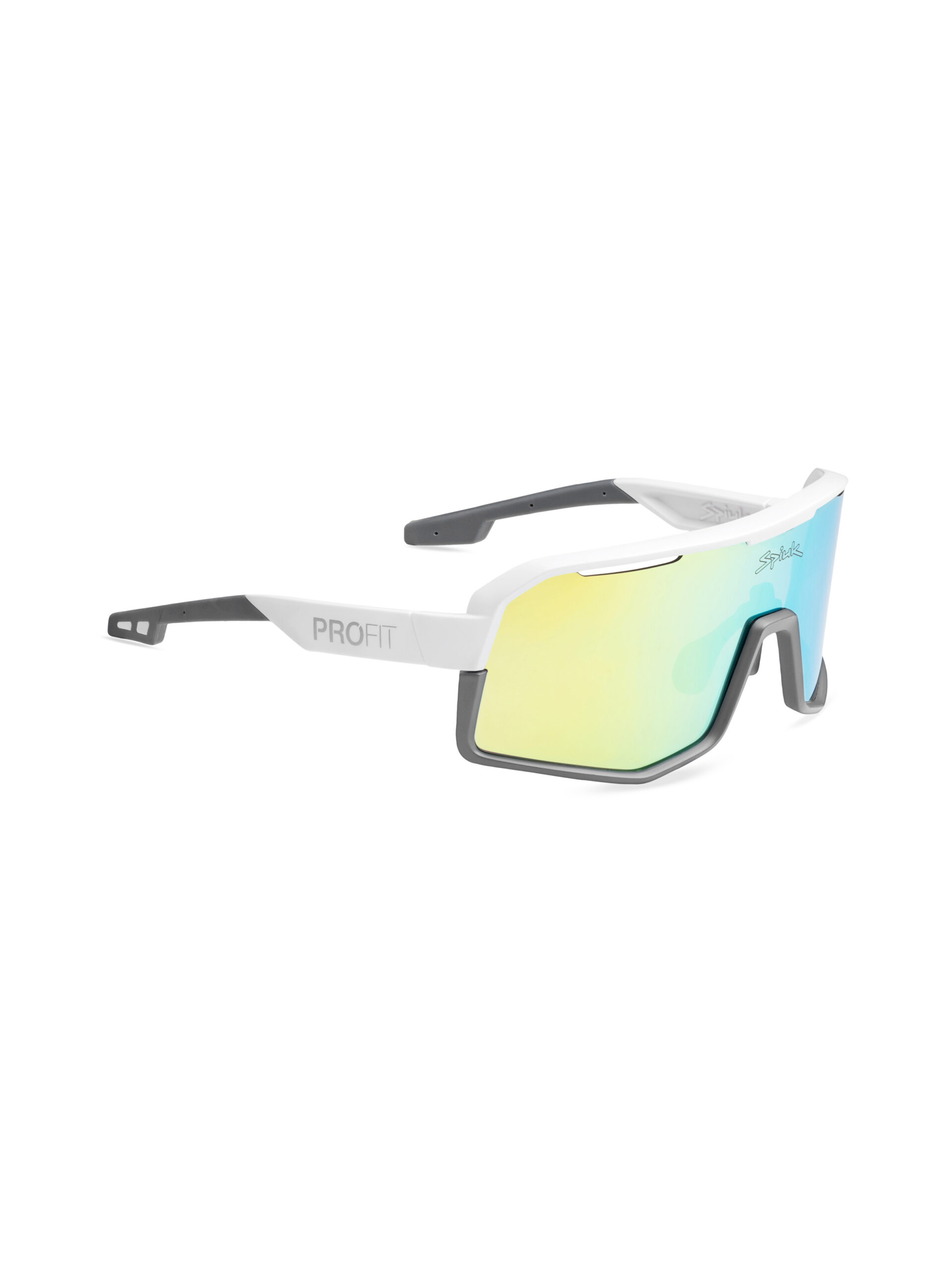 Gafas PROFIT V3