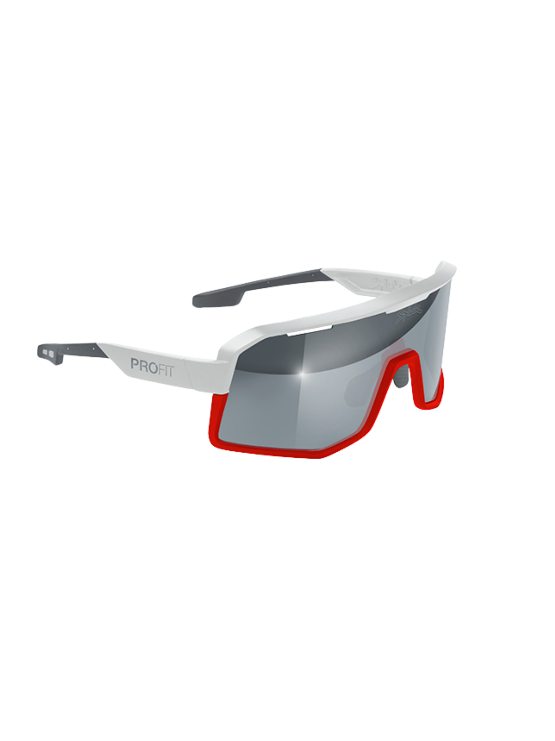 Gafas PROFIT V3