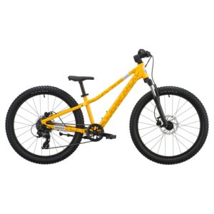 SCOTT ROXTER 400 SUNNY YELLOW AÑO 2027
